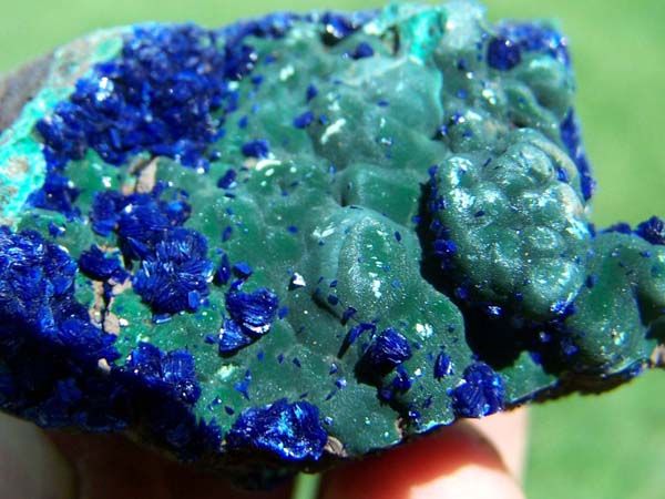 Royal Blue Azurite Crystal on Velvety Malachite A  
