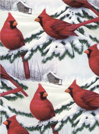 CARDINALS GIFT WRAPPING PAPER  Giant 26x30 Roll  